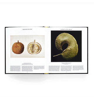 Page spread from Plant: Exploring the Botanical World features plant and flower renderings by Radhen Salikin and Albert Lleal Moya
