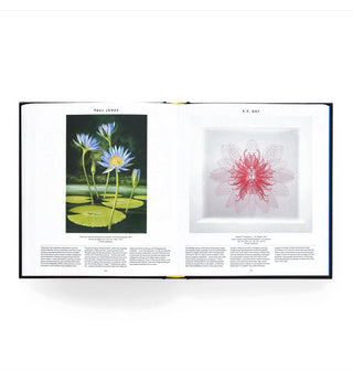 Page spread from Plant: Exploring the Botanical World features plant and flower renderings by Paul Jones and E. V. Day