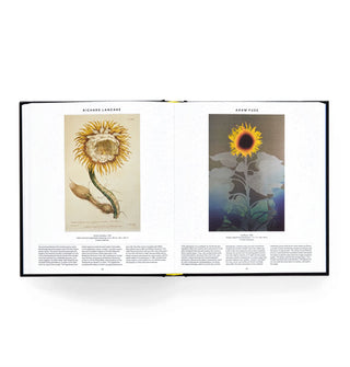 Page spread from Plant: Exploring the Botanical World features plant and flower renderings by Richard Lancake and Adam Fuss