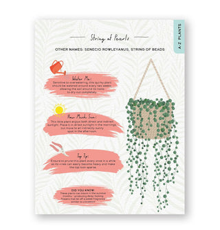 Page from Please Don't Die features a section titled, "String of Pearls" with illustrations and spot-color accents