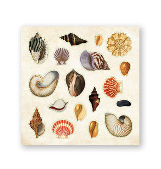 Sample page of stickers from Poseidon's Kingdom features a variety of seashells