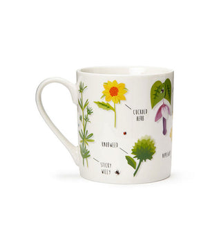 White coffee mug features plant illustrations labeled with their humorous names (Sticky Willy, Knobweed, Cuckold Herb, Nipplewort)