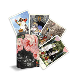 Box with four fanned-out sample cards from The Rosebud Tarot deck feature intricate collage artwork
