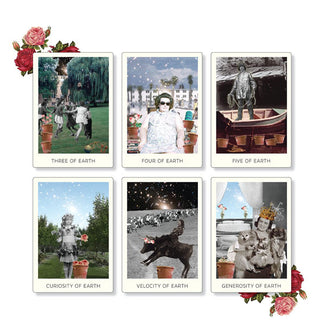 Six sample cards from The Rosebud Tarot deck feature intricate collage artwork and are flanked by red and pink roses at top left and bottom right corners