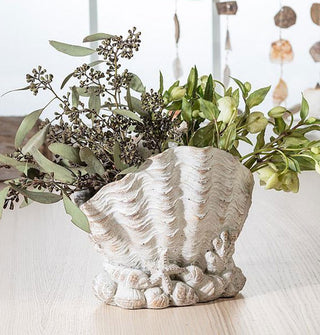 White antique-effect scallop shell planter with sprigs of greenery protruding from its wide top opening