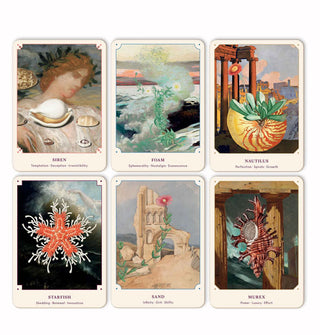 Six-card sample spread from The Seashell Oracle deck