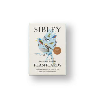 Box of Sibley Backyard Birding Flashcards with central illustration of colorful bird species inside a larger bird's silhouette