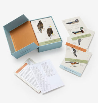 Box and some contents of the Sibley Backyard Birding Flashcards deck