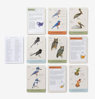 Spread of nine cards plus a checklist from the Sibley Backyard Birding Flashcards deck