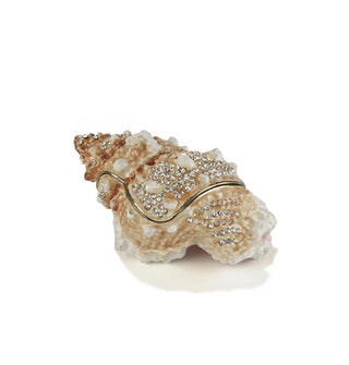 Brown and white snail shell box with gold trim and small clear rhinestone accents