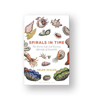 Cover of Spirals in Time: The Secret Life and Curious Afterlife of Seashells features illustrations of various of oceanic objects around the title and author's name