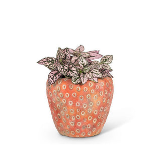 Red cement strawberry planter with a leafy pink and green hypoestes plant emerging from the top