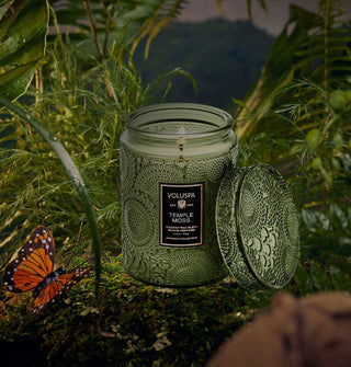 Lit single-wick Temple Moss Voluspa candle in an embossed green glass vessel with matching lid removed and propped up against it is staged in a jungle-like setting with monarch butterfly nearby