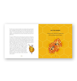 Page spread from The Honey Book features paragraphs of text with illustrations alongside this trivia fact: "Honey is the only food humans eat that is produced by an insect."