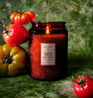 Lit Tomato Trellis Voluspa candle in red embossed glass vessel is staged with tacked heirloom tomatoes against a blotted green backdrop