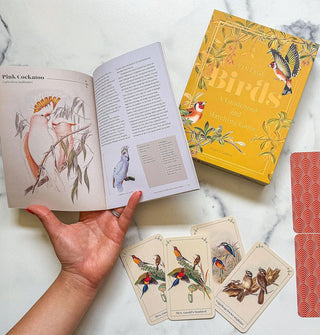 Model's hand holds open the Vintage Birds guidebook over a marble tabletop where the set's box, four sample cards, and two card backs are spread out