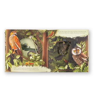Page spread from A Walk Through the Woods features a paper-cut forest scene including a hawk and owl captioned with minimal text
