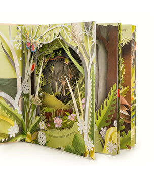 Fanned pages from A Walk Through the Woods feature paper-cut designs of forest scenes