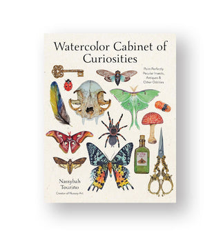 Cover of Watercolor Cabinet of Curiosities features various colorful illustrations of insects and other objects