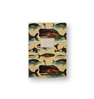 Journal cover features illustrations of different whale species