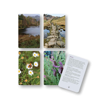 Spread of four Wild & Well-Being cards with backs shown, each depicting a beautiful nature scene; a fifth card, with print pertaining to "Scent," is laid overtop